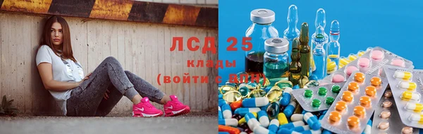 мяу мяу мука Тихвин