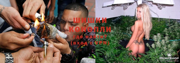 Альфа ПВП Аркадак